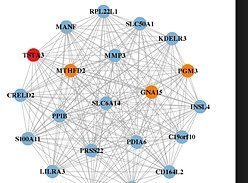 Ученые раскрыли загадку, почему у нервов бывают дегенеративные патологии