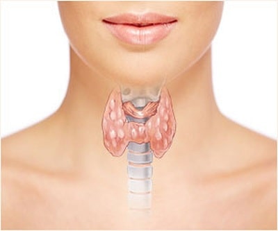 Гипотиреоз: код по МКБ-10. Справочная информация для врача гипотиреоз код по мкб 10