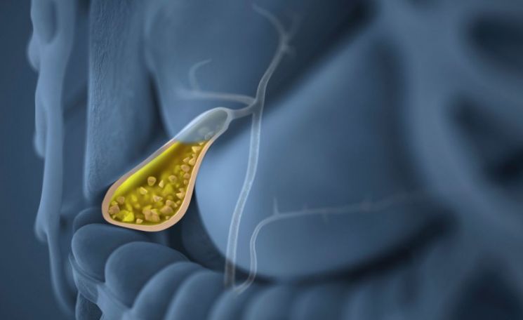 Болевой синдром органов брюшной полости