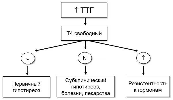 диагностика гипотиреоза