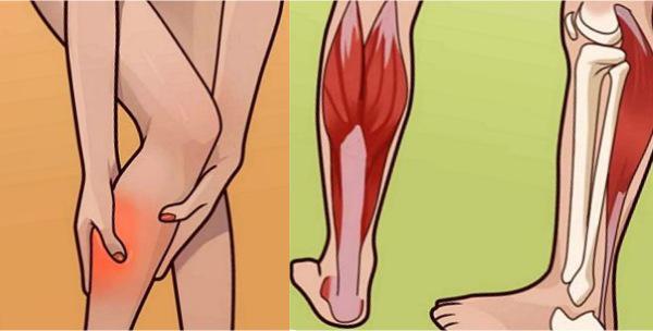 Гипертонус икроножной мышцы